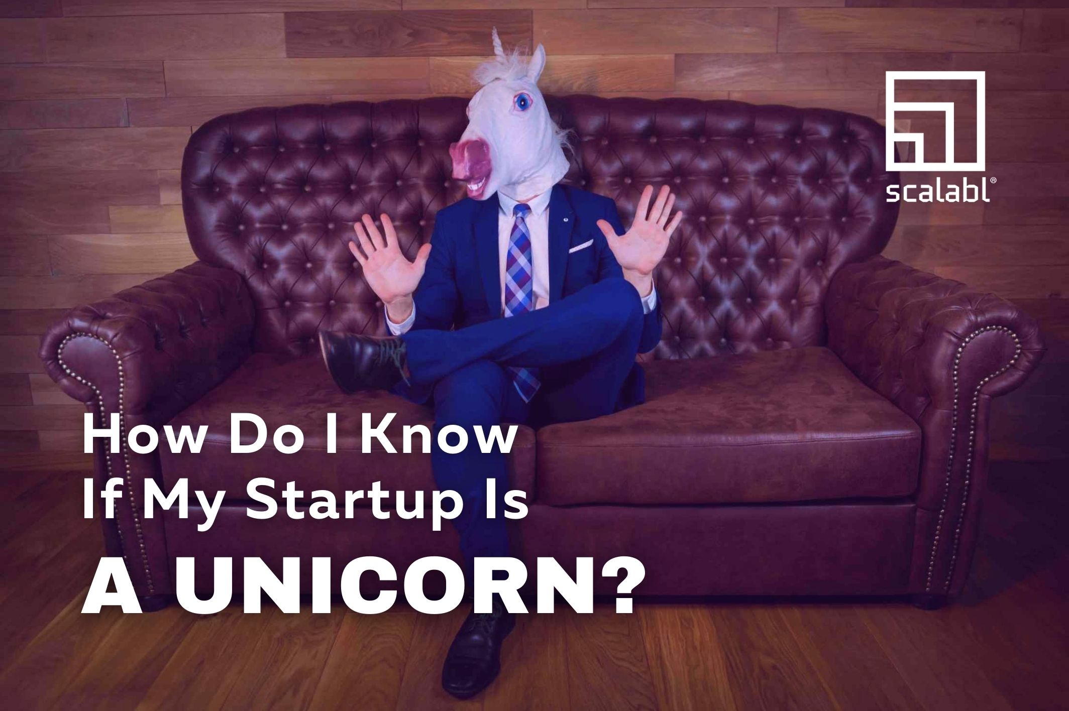 How Do I Know if My Startup Is a Unicorn?